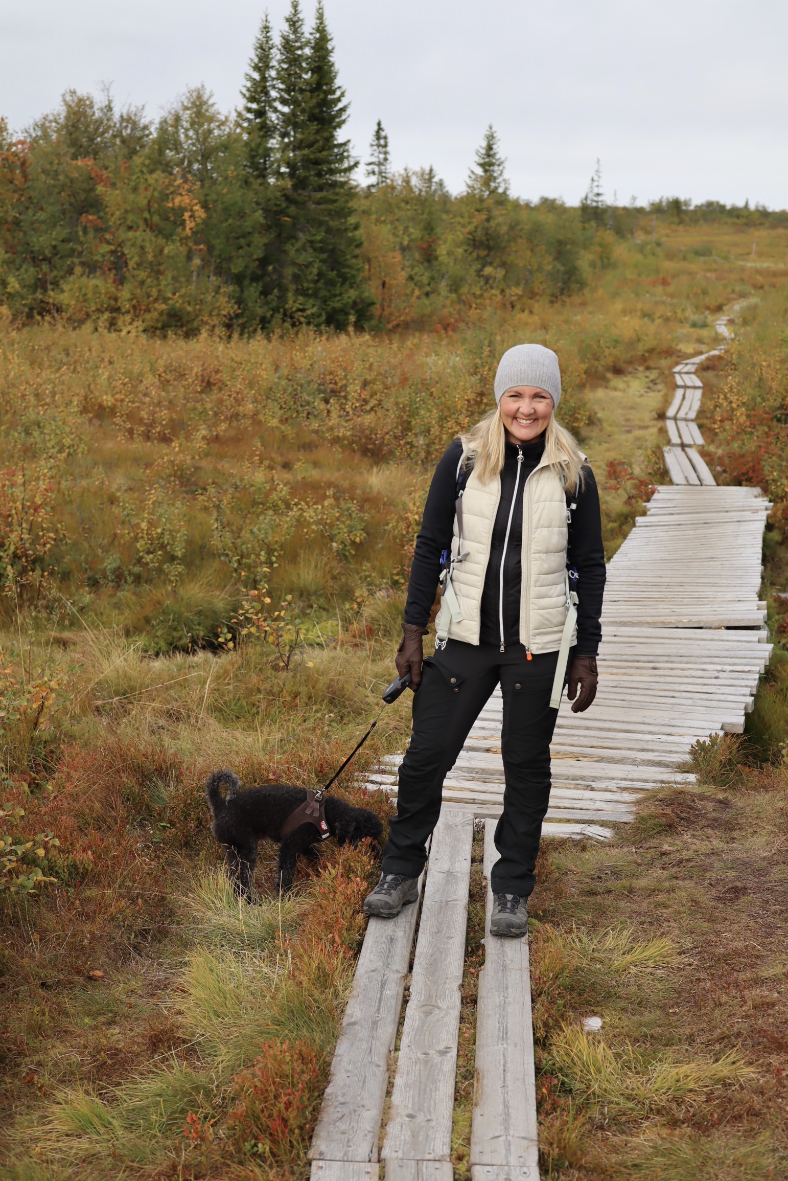 Storhogna är perfekt att vandra vid under hösten. Kalfjäll, djupa skogar och flera vattenfall att besöka. Här är starten vid Storhogna Högfjällshotell.