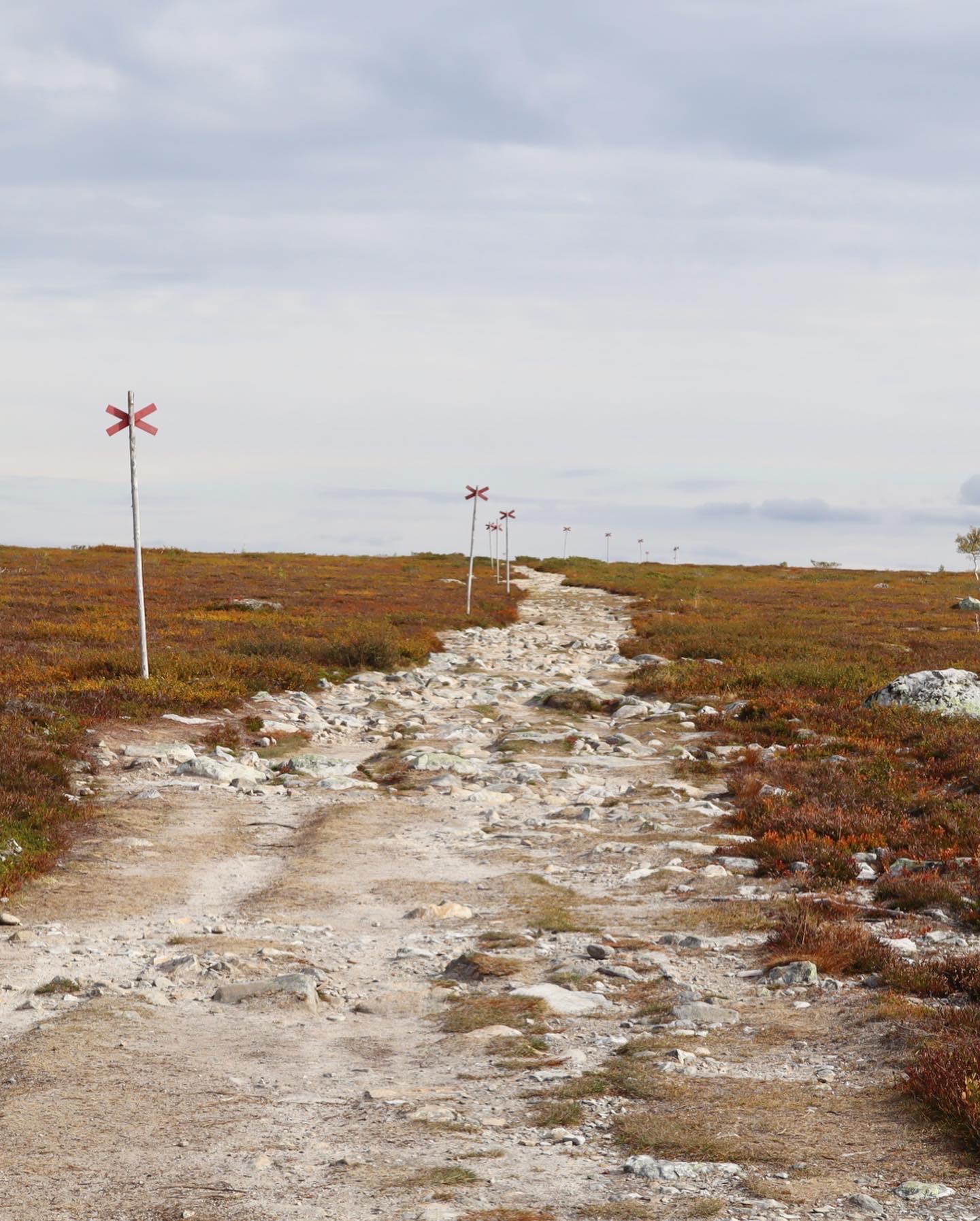 Vandring i Storhogna. Kalfjället på väg mot Fallmorafallen. 